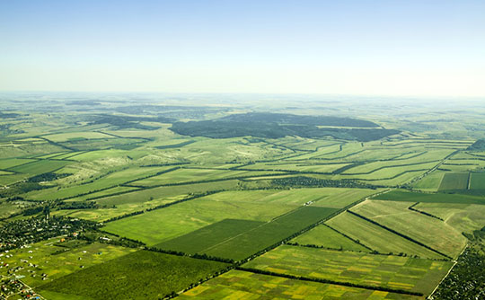 Raw Acreage Appraisals