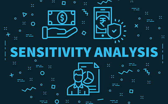 Sensitivity Analysis